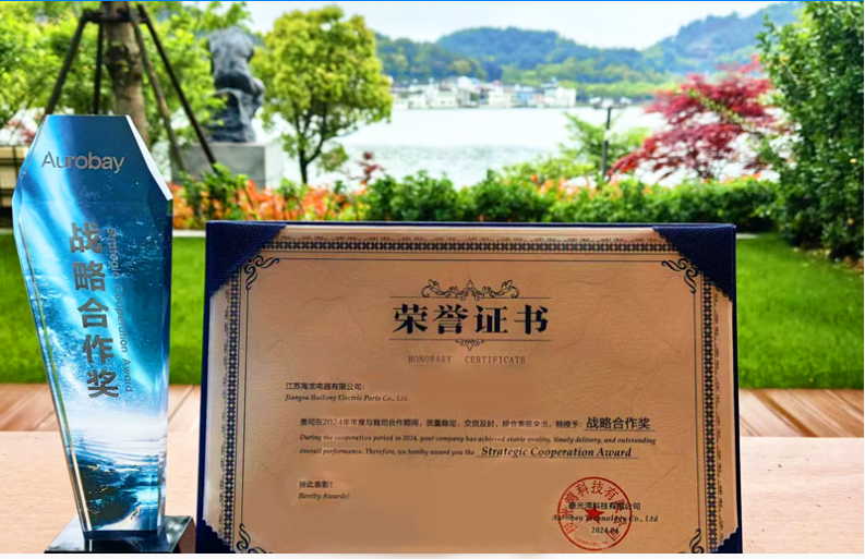   喜报：江苏ld平台-ld(中国)荣获吉利汽车2024年度供应商“战略合作奖”？